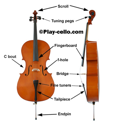Cello Parts